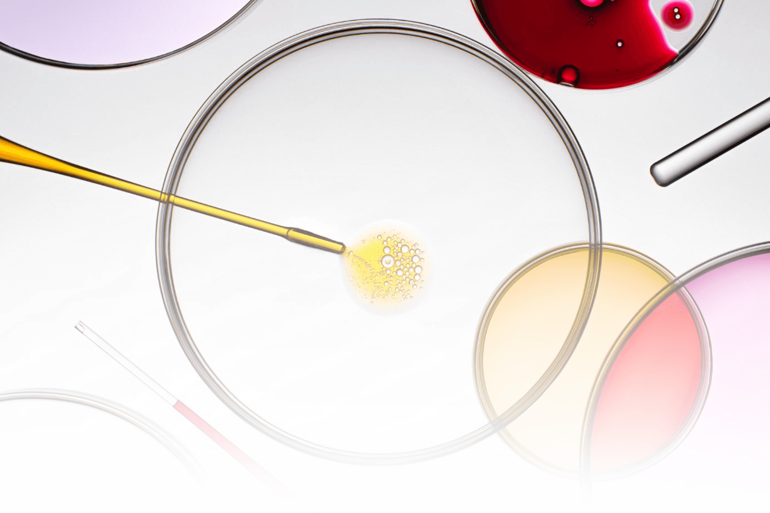 China lidera inovação em biotecnologia: avanços e impacto