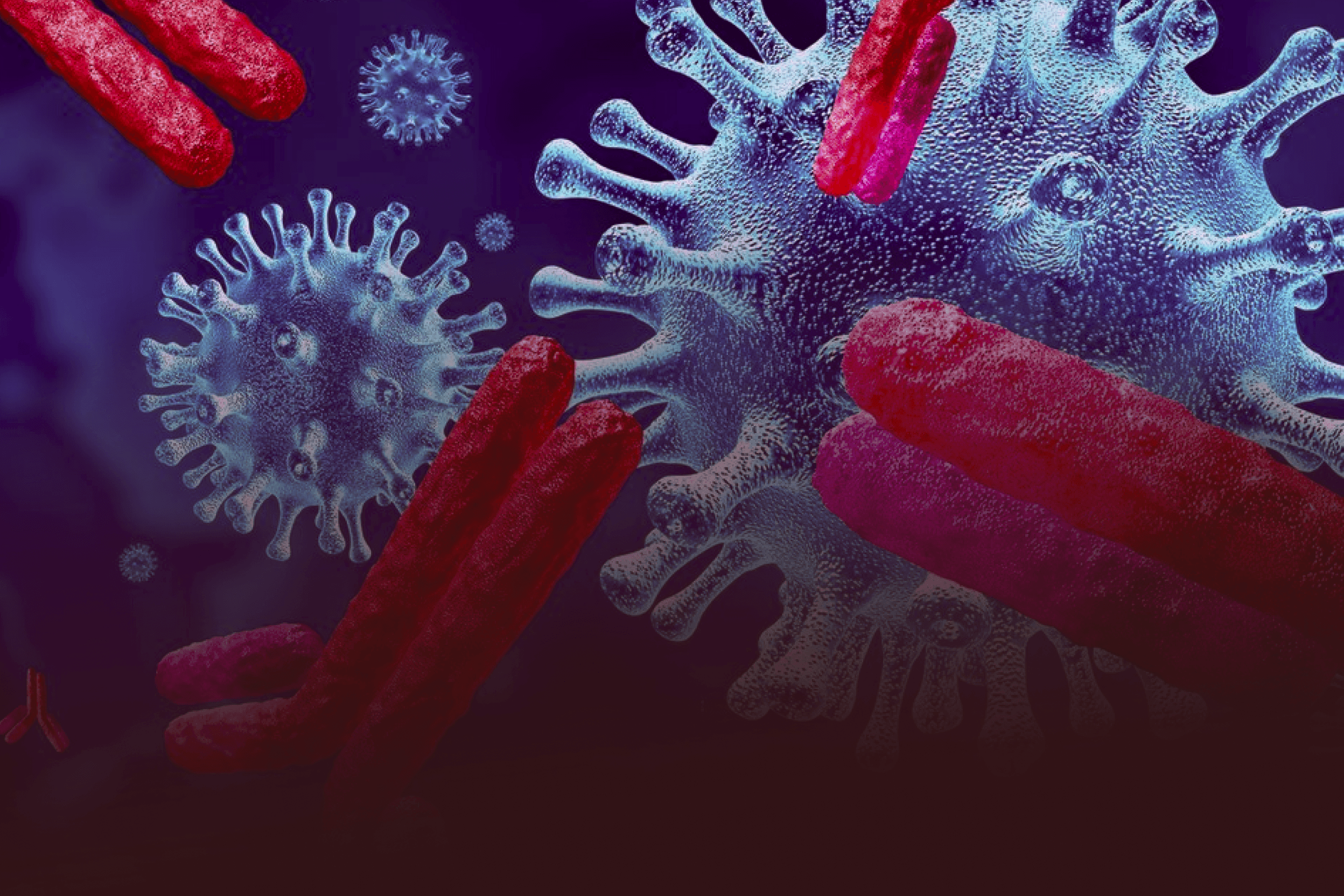 Pfizer e Nona: Avanços em anticorpos inovadores na imunoterapia