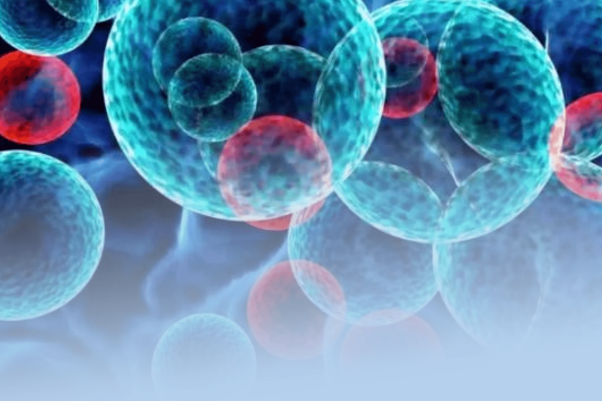 Novo remédio para LMA mostra avanços no tratamento