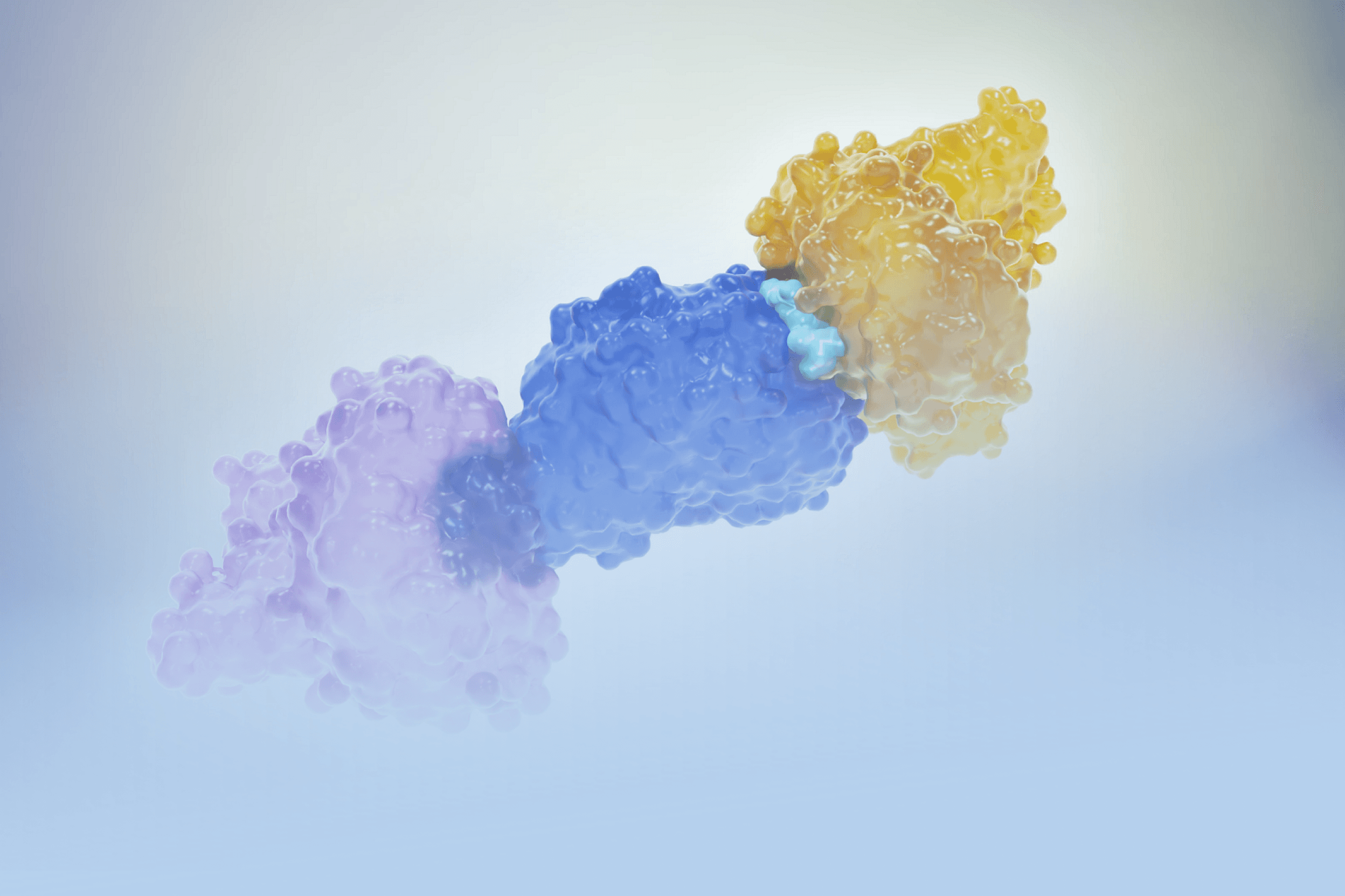 Molecular glue: nova fronteira em terapias biotecnológicas